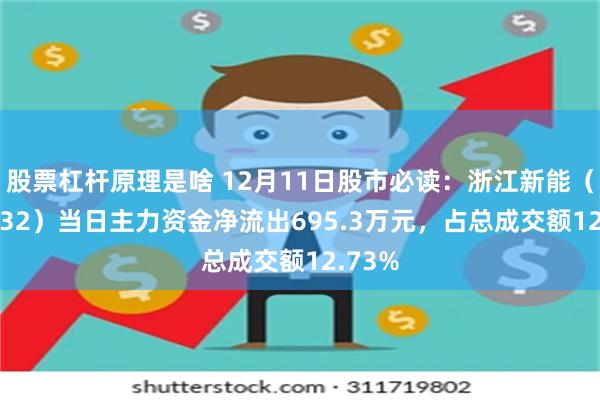股票杠杆原理是啥 12月11日股市必读：浙江新能（600032）当日主力资金净流出695.3万元，占总成交额12.73%