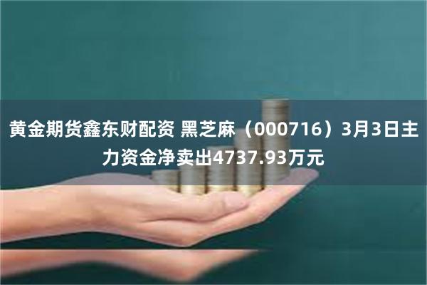 黄金期货鑫东财配资 黑芝麻（000716）3月3日主力资金净卖出4737.93万元