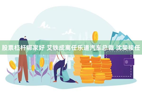 股票杠杆哪家好 艾铁成离任乐道汽车总裁 沈斐接任