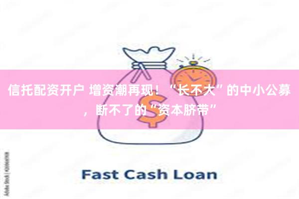 信托配资开户 增资潮再现！“长不大”的中小公募，断不了的“资本脐带”