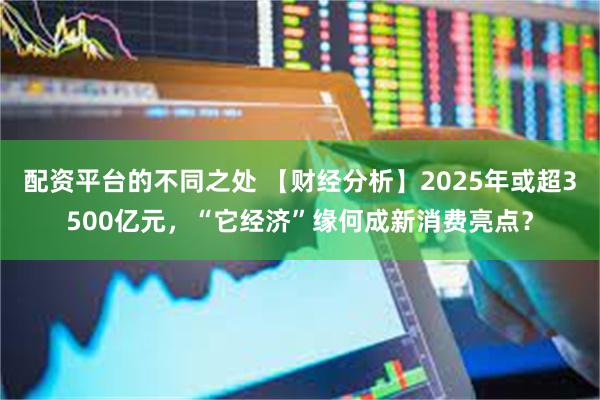 配资平台的不同之处 【财经分析】2025年或超3500亿元，“它经济”缘何成新消费亮点？