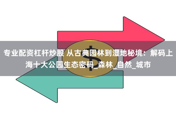 专业配资杠杆炒股 从古典园林到湿地秘境：解码上海十大公园生态密码_森林_自然_城市