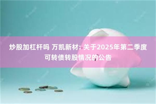 炒股加杠杆吗 万凯新材: 关于2025年第二季度可转债转股情况的公告