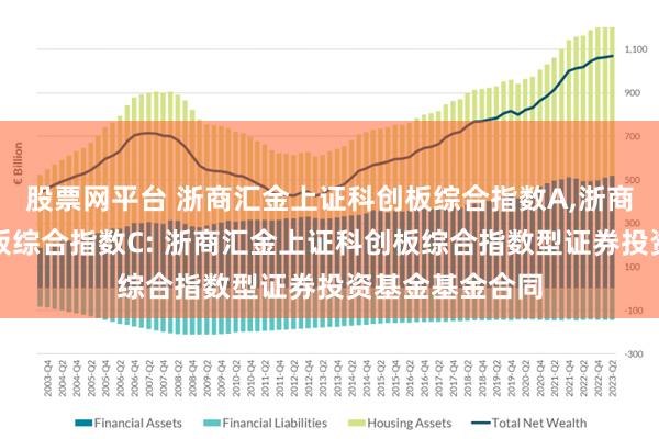 股票网平台 浙商汇金上证科创板综合指数A,浙商汇金上证科创板综合指数C: 浙商汇金上证科创板综合指数型证券投资基金基金合同