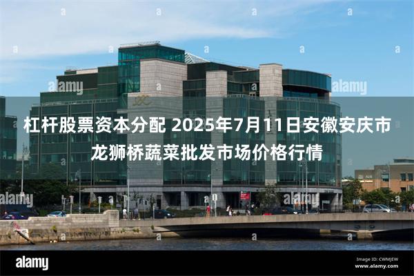 杠杆股票资本分配 2025年7月11日安徽安庆市龙狮桥蔬菜批发市场价格行情