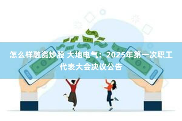 怎么样融资炒股 大地电气：2025年第一次职工代表大会决议公告