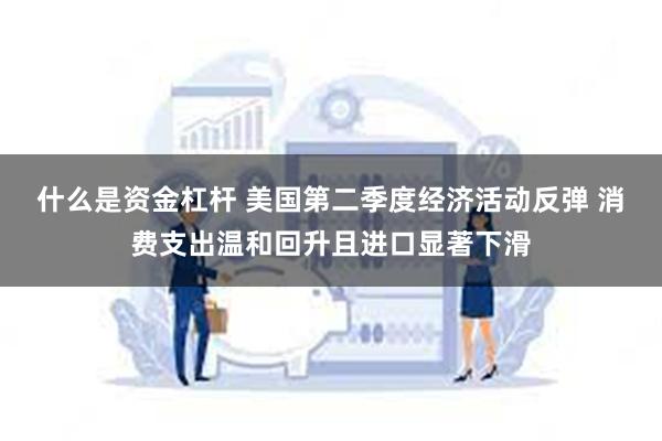 什么是资金杠杆 美国第二季度经济活动反弹 消费支出温和回升且进口显著下滑