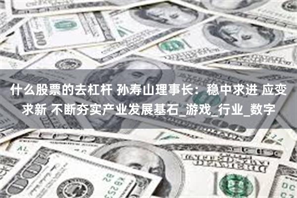什么股票的去杠杆 孙寿山理事长：稳中求进 应变求新 不断夯实产业发展基石_游戏_行业_数字