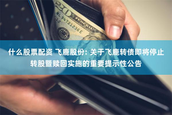 什么股票配资 飞鹿股份: 关于飞鹿转债即将停止转股暨赎回实施的重要提示性公告