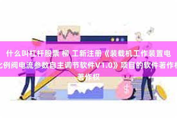 什么叫杠杆股票 柳 工新注册《装载机工作装置电比例阀电流参数自主调节软件V1.0》项目的软件著作权