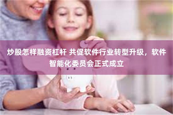 炒股怎样融资杠杆 共促软件行业转型升级，软件智能化委员会正式成立